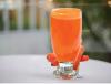 Carrot Juice