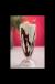 Nutella Crush Milkshake [Large]