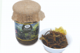 Pickled Kelp