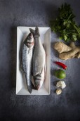 Sea Bass