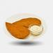 Chicken Cutlet (2pc) with Mayo Dip