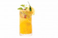 RTK MOJITO