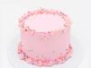 Special Cake D