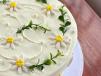 Custard Cake C