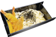 Udon