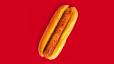 Plain Dog