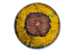 Chapli Kabab Biriyani
