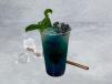 Blueberry Mojito