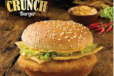 Zesty Burger