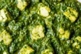 Palak Paneer