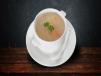 Vegetable Soup