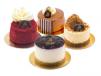 Mini Cake Treat-4 Pastries