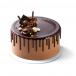 Choco Ice Cream Cake Big
