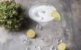 Virgin Margarita