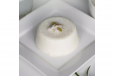 Tender Coconut Pudding