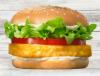 Vegetables Burger