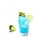 Blueberry Mojito