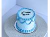 Simple Light Blue Bento Cake