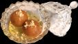 Gulab Jamun
