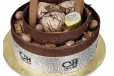Chocolate Ice Cream Cake