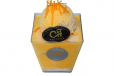Mango Ice Cream Triffle Mini
