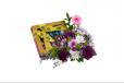 Sweet Bloom Gift Set