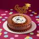 Graduation Celebration Chocolate Photo Cake Combo