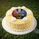 Fifa Victory Vanilla Cake