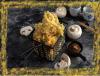 Stuffed Mushroom Tempura Tempura
