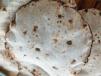 Rice Bhakari Bread