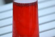 ROOH AFZA SHARBAT GLASS