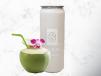 Coconut Milkshake