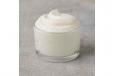 Garlic Dip (Large)