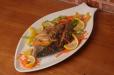 Tilapia Fish