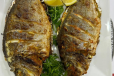 Seabream Fish