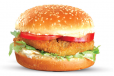 Vegetable Burger