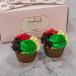 EID AL ETIHAD CUPCAKE BOX of 2