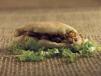 Mesakaa Sandwich