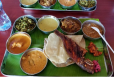 Fish Meals (Mota)