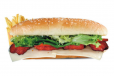 Shish Tawook Combo Sandwich