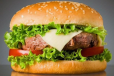 Burger Sandwich
