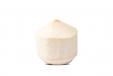 Fresh Whole Coconut Water