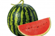 water melon