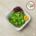 Rocca Salad - سلطة جرجير