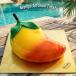 Mango Alphonso Treat