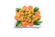 Prawns Plate