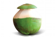 Tender Coconut