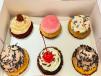 Box Of 6 Assorted Signature Regular Cupcakes