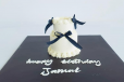 2 LAYER MICRO CAKE