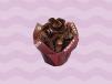 Double Chocolate Muffin